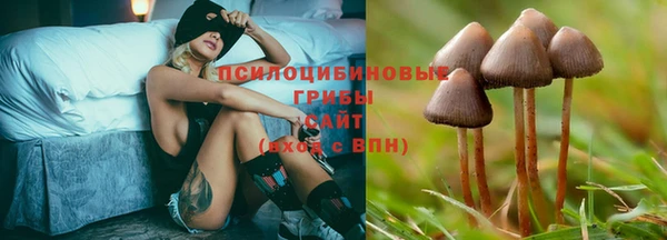 Альфа ПВП Барнаул